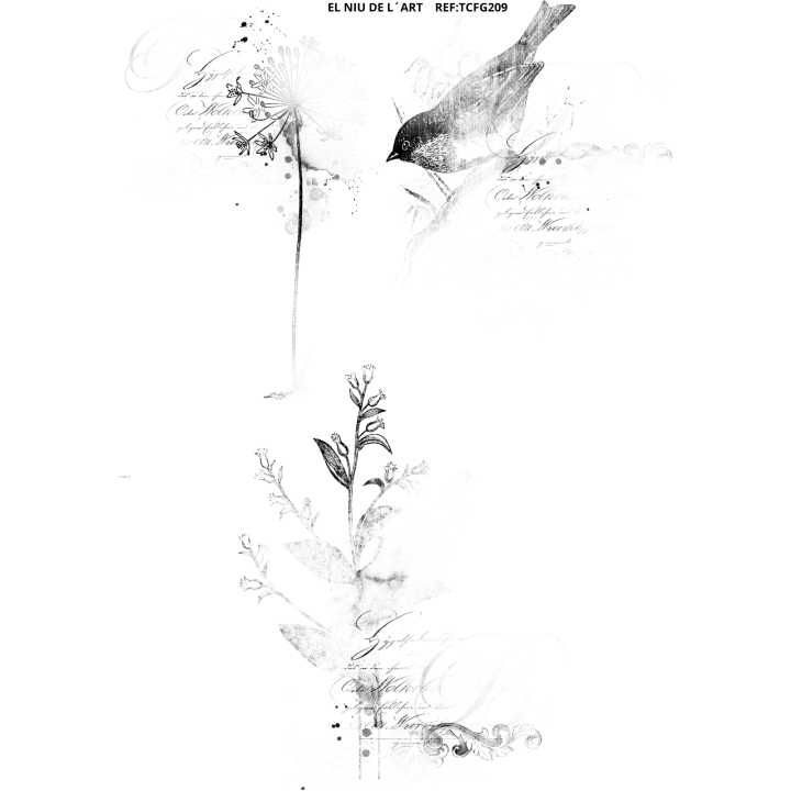 copy of 